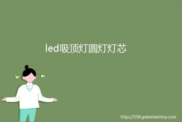 led吸顶灯圆灯灯芯